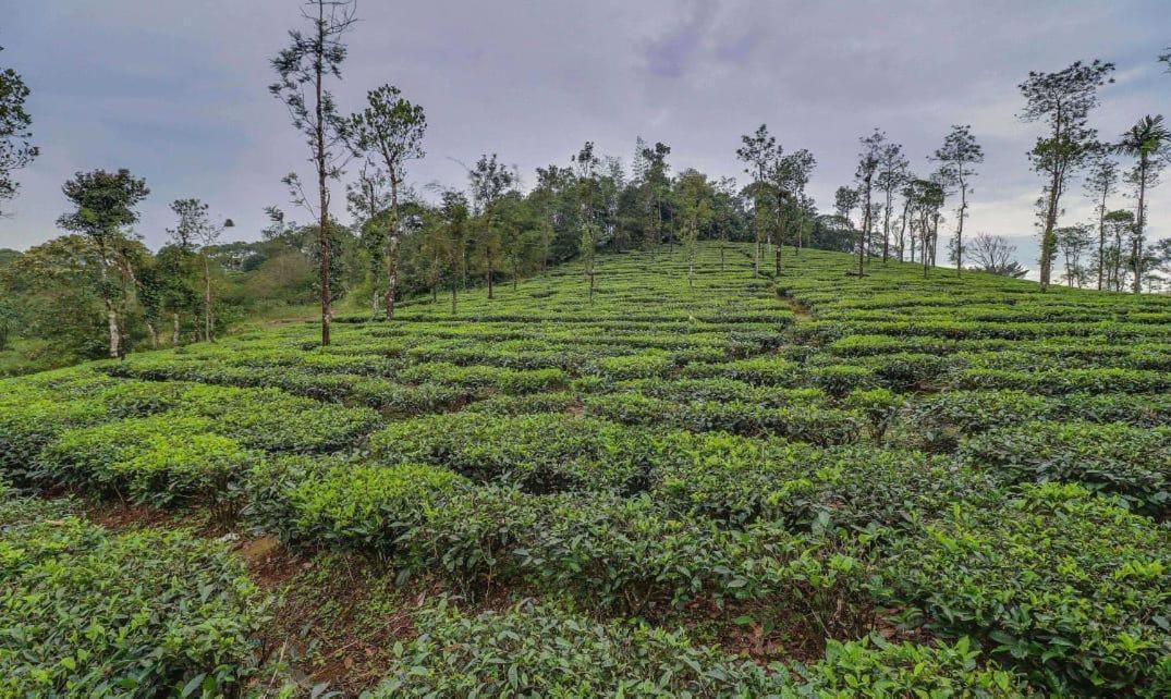 Moss Adams Inn Vagamon Exterior foto