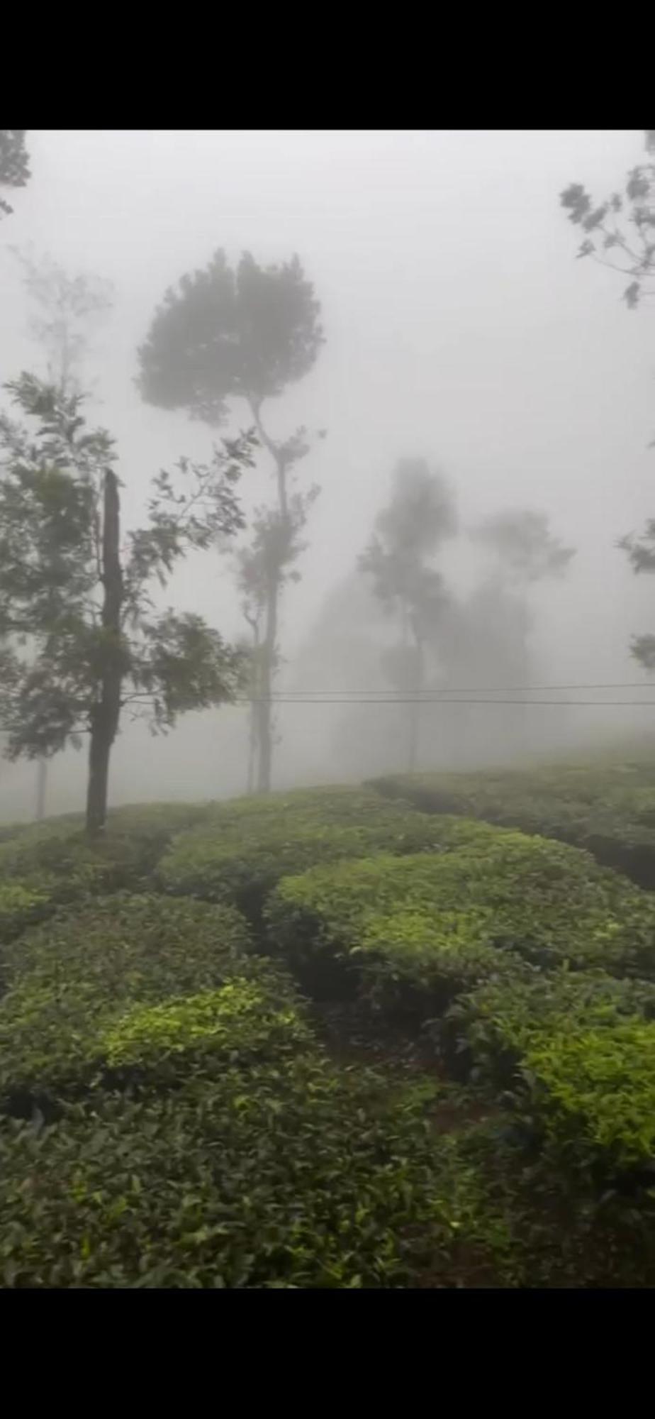 Moss Adams Inn Vagamon Exterior foto